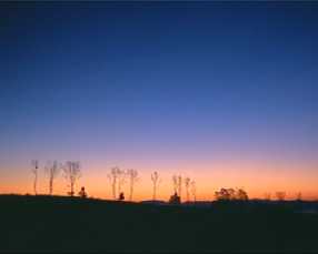 asa.jpg (3818 �o�C�g)