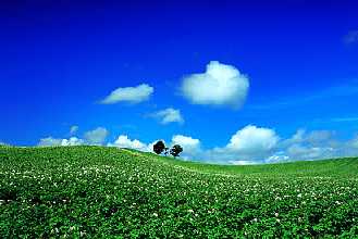 biei.jpg (12914 �o�C�g)