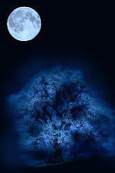 kabe210.gif (5235 �o�C�g)