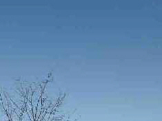 sora.jpg (4604 �o�C�g)