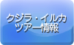 �N�W���E�C���J�E�G�R�c�A�[���