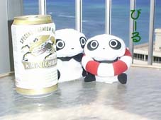 �ЂƉj���̌�̃r�[��