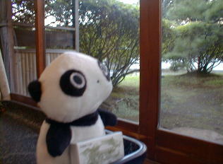 ���̎v���ɂӂ����Ă��܂�