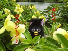 �Ԃƃt�@�[�r�[