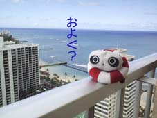 �j������