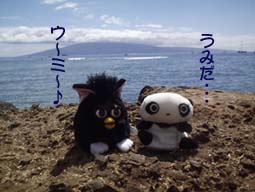 ���݂���@���݂ӂ��[�с[