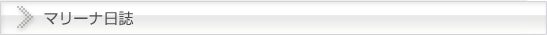 マリーナニュース（新着情報）