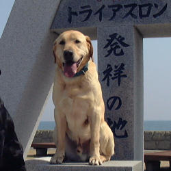 らぶじょ〜