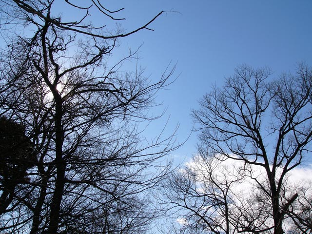 Wintersky