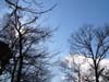 Wintersky