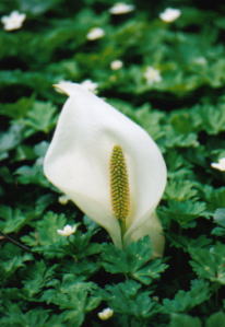 �~�Y�o�V���E