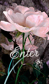 enter