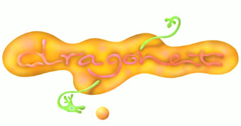 welcome you all_dragonet