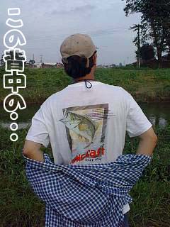 ̔w̖䏊EEE