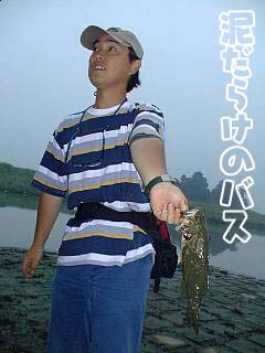 D炯