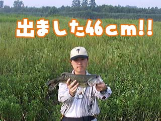 ƈꑧ