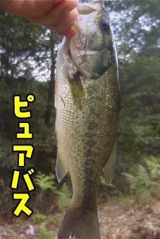 m炸