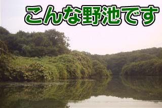 鋫̖r