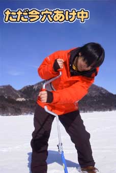 育
