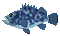 \C