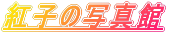 �ȻҤμ̿��� 