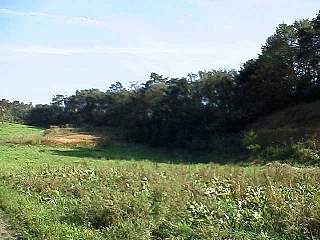 981012-003.jpg