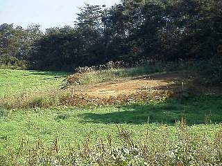 981012-005.jpg