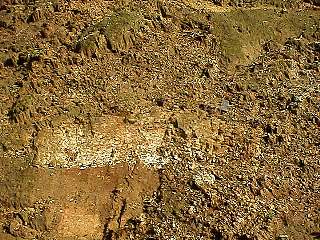 981012-012.jpg