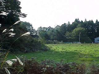 981012-024.jpg
