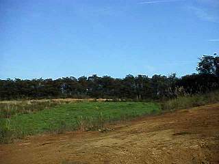 981012-025.jpg