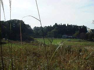 981012-026.jpg