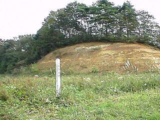 981012-031.jpg