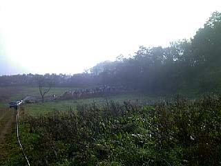 kami9811-001.jpg