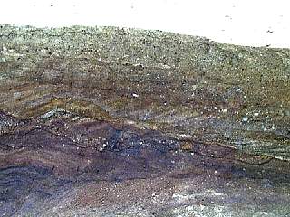 kami9811-015.jpg