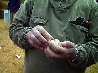 kami9811-024.jpg