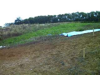 kami9811-050.jpg