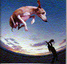 flyingdog.gif