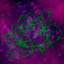 Ban_AtelierBlossomCreate_Left_002