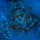 Ban_AtelierBlossomCreate_Middle_002