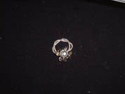 �N���b�N����ƁA�傫���摜�������܂��B