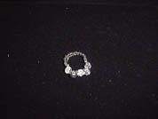 �N���b�N����ƁA�傫���摜�������܂��B