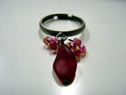 �N���b�N����ƁA�傫���摜�������܂��B