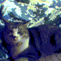 Ƃ̔Lł