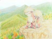 Arcanine standing at the top