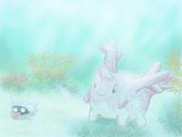 Corsola in the sea