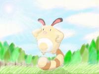 Sentret in Route 29