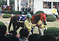 JC馬 マーベラスクラウン出走