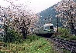 大和田桜とズームカー