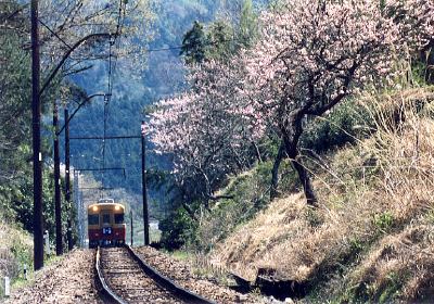 写真:青部〜崎平にて3008F