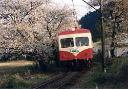家山桜と312F